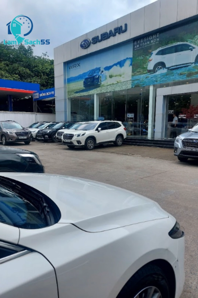 Showroom ô tô MTT
