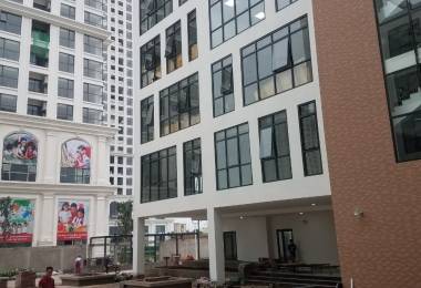 Tuyển gấp tạp vụ văn phòng tại Cốm Vòng, quận Cầu Giấy