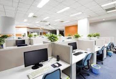 TUYỂN TẠP VỤ THEO GIỜ TUẦN 3 BUỔI TẠI NGUYỄN TRÃI